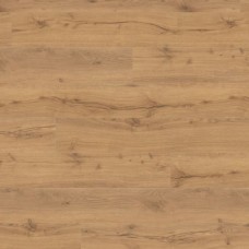 Alpine Oak Nature